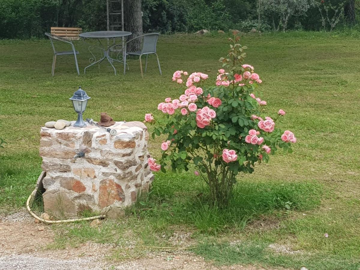 مبيت وإفطار دْراجينْيا Le Jardin Des Selves المظهر الخارجي الصورة